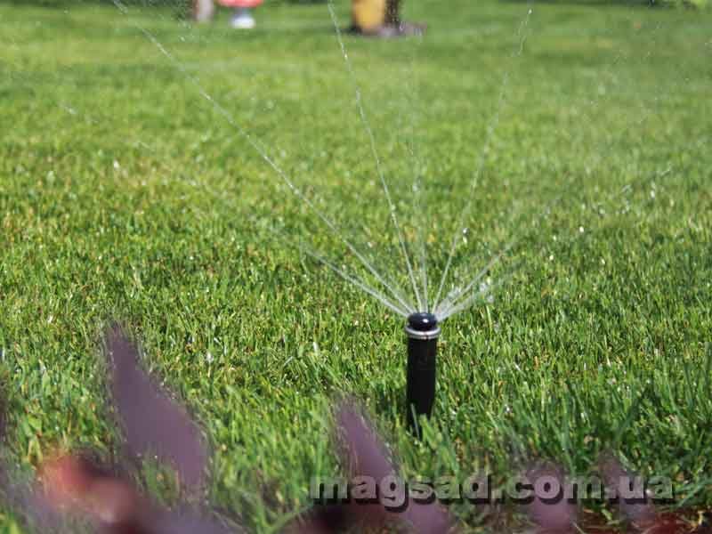 Наши работы