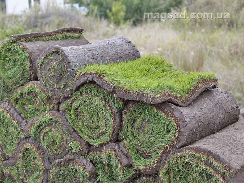 Наши работы